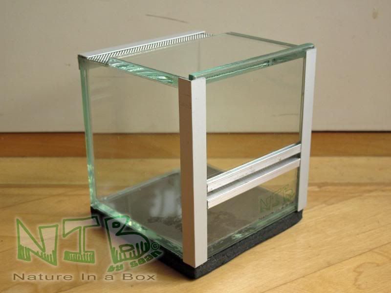 Convert a glass aquarium to a European style terrarium Dendroboard